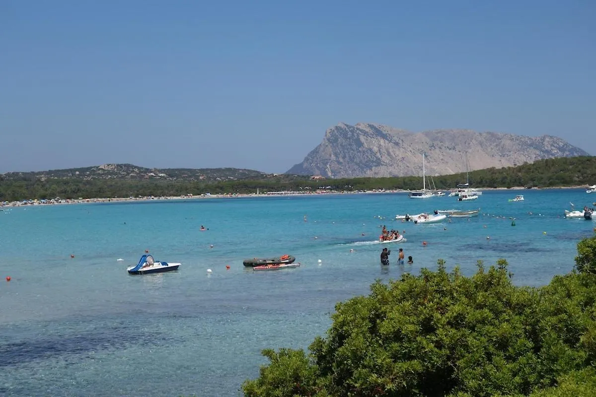 Vacanze A Villa Ortensia 산테오도로