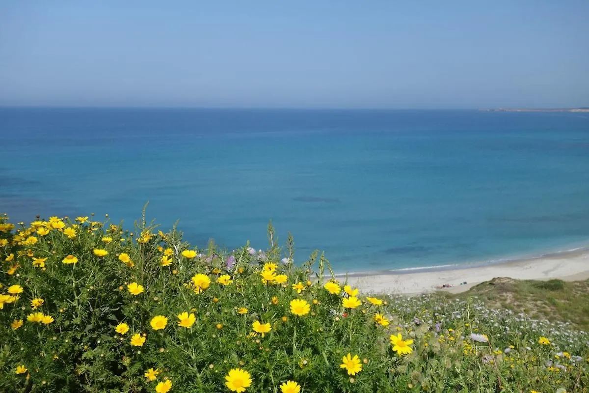 Vacanze A Villa Ortensia 산테오도로 이탈리아