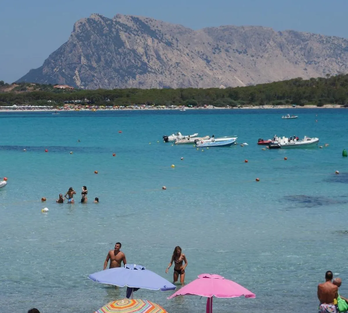 Vacanze A Villa Ortensia 산테오도로 0*,
