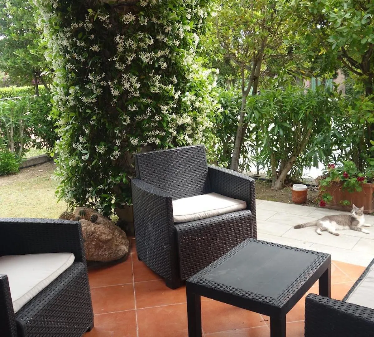 Vacanze A Villa Ortensia 산테오도로